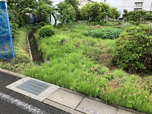 物件現況写真