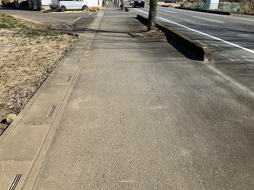 前面道路含む現地写真