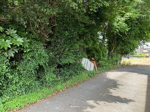 前面道路含む現地写真