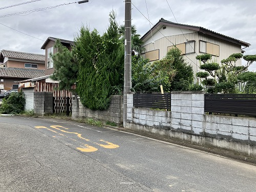 前面道路含む現地写真