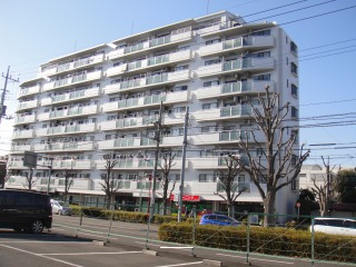 30003画像