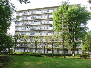 30147画像