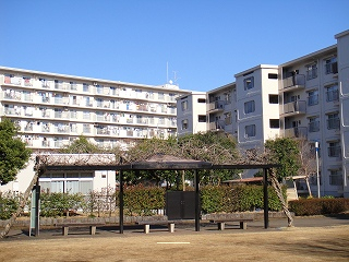30199画像