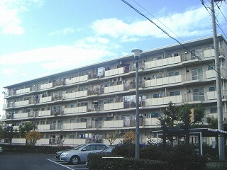 30202画像