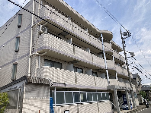30931画像