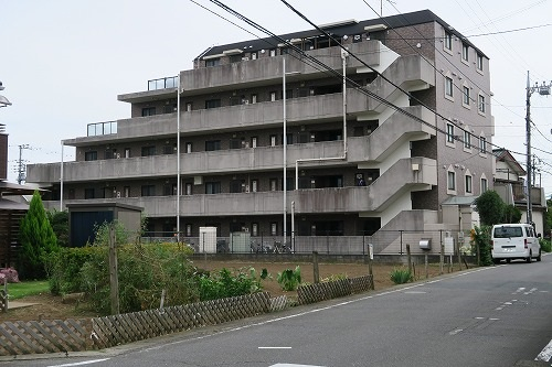 30979画像