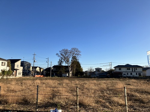 29847画像