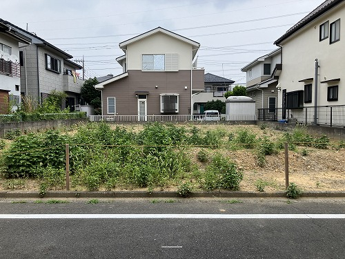 31036画像