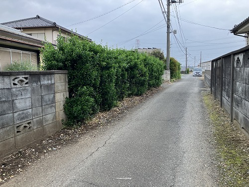 前面道路含む現地写真