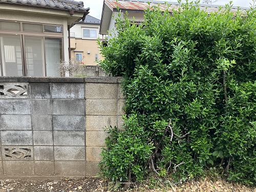 隣地境界