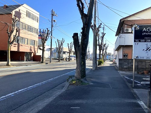 接道並びに本物件
