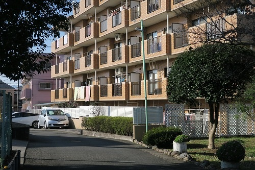 マンション外観と接道